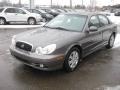 Slate Gray - Sonata GLS V6 Photo No. 10