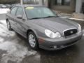 Slate Gray - Sonata GLS V6 Photo No. 12