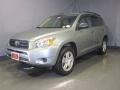 2007 Everglade Metallic Toyota RAV4 4WD  photo #1