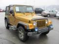 Inca Gold Metallic - Wrangler X 4x4 Photo No. 8