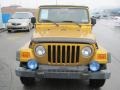 Inca Gold Metallic - Wrangler X 4x4 Photo No. 9