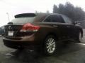 2009 Sunset Bronze Mica Toyota Venza AWD  photo #26