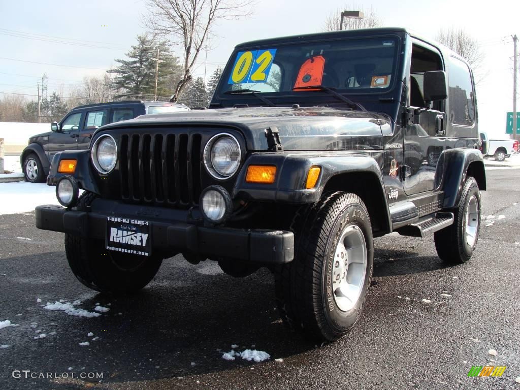 2002 Wrangler Sahara 4x4 - Black / Camel Beige/Dark Green photo #1