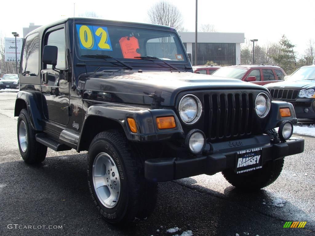 2002 Wrangler Sahara 4x4 - Black / Camel Beige/Dark Green photo #3