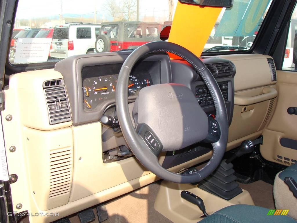 2002 Wrangler Sahara 4x4 - Black / Camel Beige/Dark Green photo #11