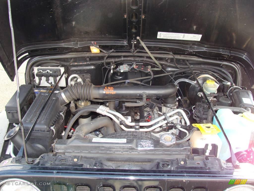 2002 Wrangler Sahara 4x4 - Black / Camel Beige/Dark Green photo #14