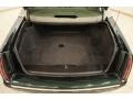 Polo Green - DeVille Sedan Photo No. 19
