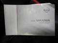 Sheer Silver - Maxima SE Photo No. 10