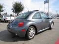 2004 Platinum Grey Metallic Volkswagen New Beetle GLS Coupe  photo #5