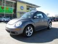 Platinum Grey - New Beetle 2.5 Coupe Photo No. 1