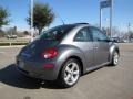 Platinum Grey - New Beetle 2.5 Coupe Photo No. 5