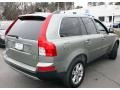Willow Green Metallic - XC90 V8 AWD Photo No. 5