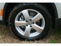 White Gold Metallic - Tiguan Wolfsburg Edition Photo No. 15