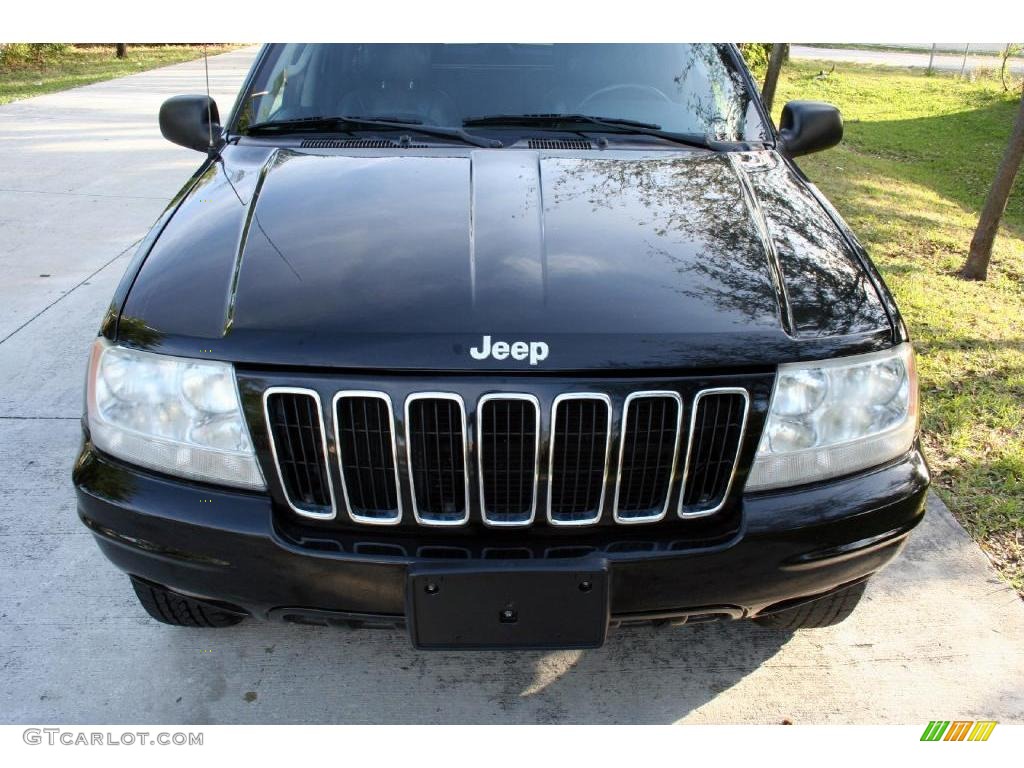 2002 Grand Cherokee Limited 4x4 - Black / Dark Slate Gray photo #16