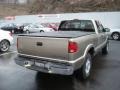 2002 Light Pewter Metallic Chevrolet S10 LS Extended Cab 4x4  photo #4