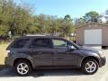 2007 Black Amethyst Metallic Chevrolet Equinox LT  photo #10