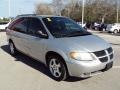 2002 Bright Silver Metallic Dodge Grand Caravan ES  photo #10