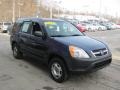 Eternal Blue Pearl - CR-V LX 4WD Photo No. 5