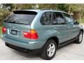 Grey Green Metallic - X5 3.0i Photo No. 7