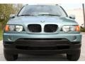 2003 Grey Green Metallic BMW X5 3.0i  photo #11