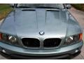2003 Grey Green Metallic BMW X5 3.0i  photo #12