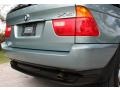2003 Grey Green Metallic BMW X5 3.0i  photo #20