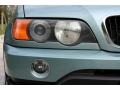 2003 Grey Green Metallic BMW X5 3.0i  photo #21