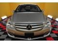 2007 Pewter Metallic Mercedes-Benz R 500 4Matic  photo #2