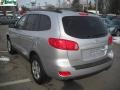 Bright Silver - Santa Fe GLS 4WD Photo No. 5