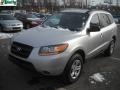 Bright Silver - Santa Fe GLS 4WD Photo No. 14