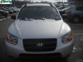 Bright Silver - Santa Fe GLS 4WD Photo No. 15