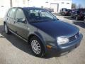 Blue Anthracite Metallic - Golf GLS 4 Door Photo No. 4