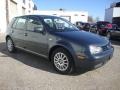 Blue Anthracite Metallic - Golf GLS 4 Door Photo No. 5