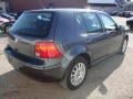 Blue Anthracite Metallic - Golf GLS 4 Door Photo No. 7