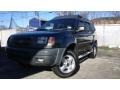 Alpine Green Metallic - Xterra SE V6 4x4 Photo No. 1