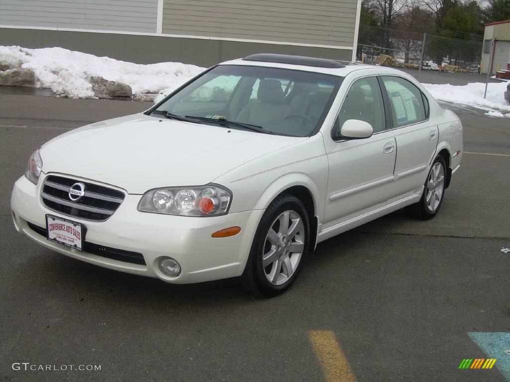 2002 Nissan pearl paint #1