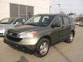 2008 Green Tea Metallic Honda CR-V LX 4WD  photo #2