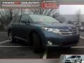 2009 Tropical Sea Metallic Toyota Venza V6  photo #1