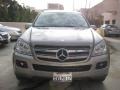 2008 Pewter Metallic Mercedes-Benz GL 450 4Matic  photo #10