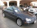 2008 Steel Grey Metallic Mercedes-Benz CLK 350 Cabriolet  photo #24