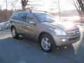 2008 Sand Beige Metallic Mercedes-Benz GL 450 4Matic  photo #6