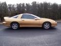 Sport Gold Metallic - Camaro Coupe Photo No. 22