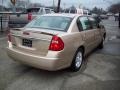 2005 Light Driftwood Metallic Chevrolet Malibu LS V6 Sedan  photo #5