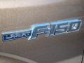 2009 Stone Green Metallic Ford F150 Lariat SuperCrew 4x4  photo #50