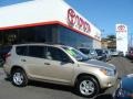 2007 Savannah Metallic Toyota RAV4 4WD  photo #1