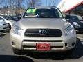 2007 Savannah Metallic Toyota RAV4 4WD  photo #2
