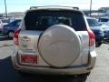 2007 Savannah Metallic Toyota RAV4 4WD  photo #4