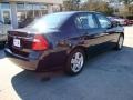 2006 Black Chevrolet Malibu LT V6 Sedan  photo #8