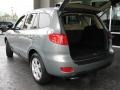 2008 Platinum Sage Hyundai Santa Fe SE  photo #9