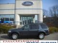 2010 Black Pearl Slate Metallic Ford Explorer XLT 4x4  photo #1